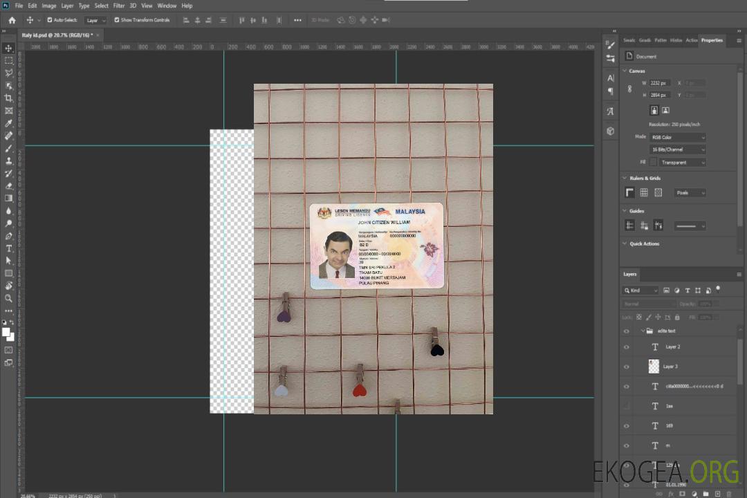 Malaisie DL photolook AVANT template Malaisie DL photolook AVANT template